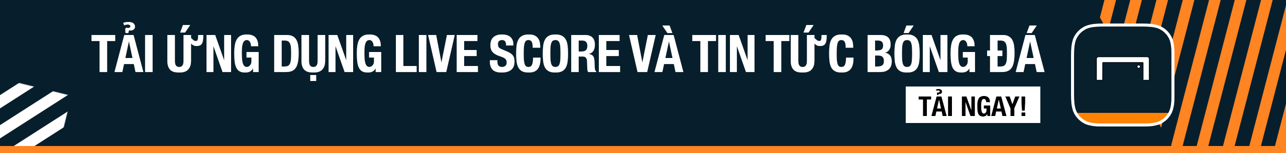 因为无论从 因为无论从