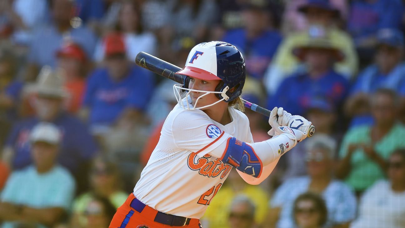 他们不仅是 他们不仅是