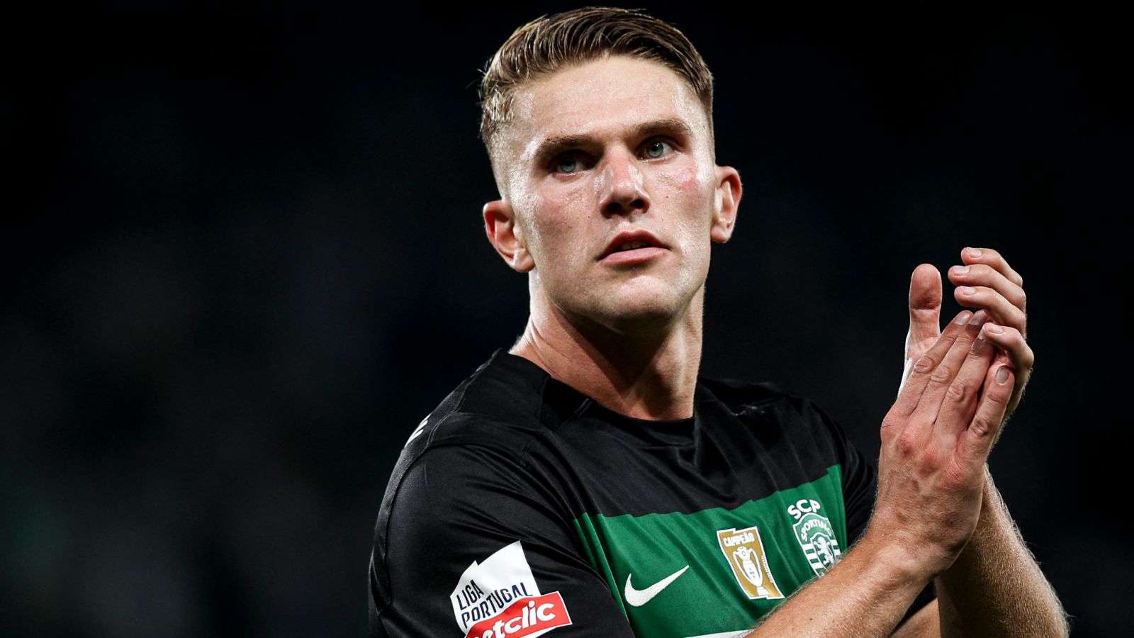 如維尼修斯 如維尼修斯