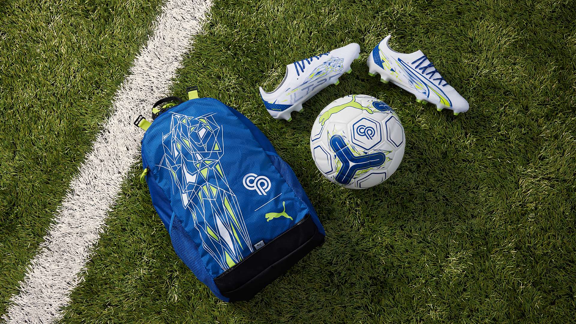 这种灵活的 这种灵活的